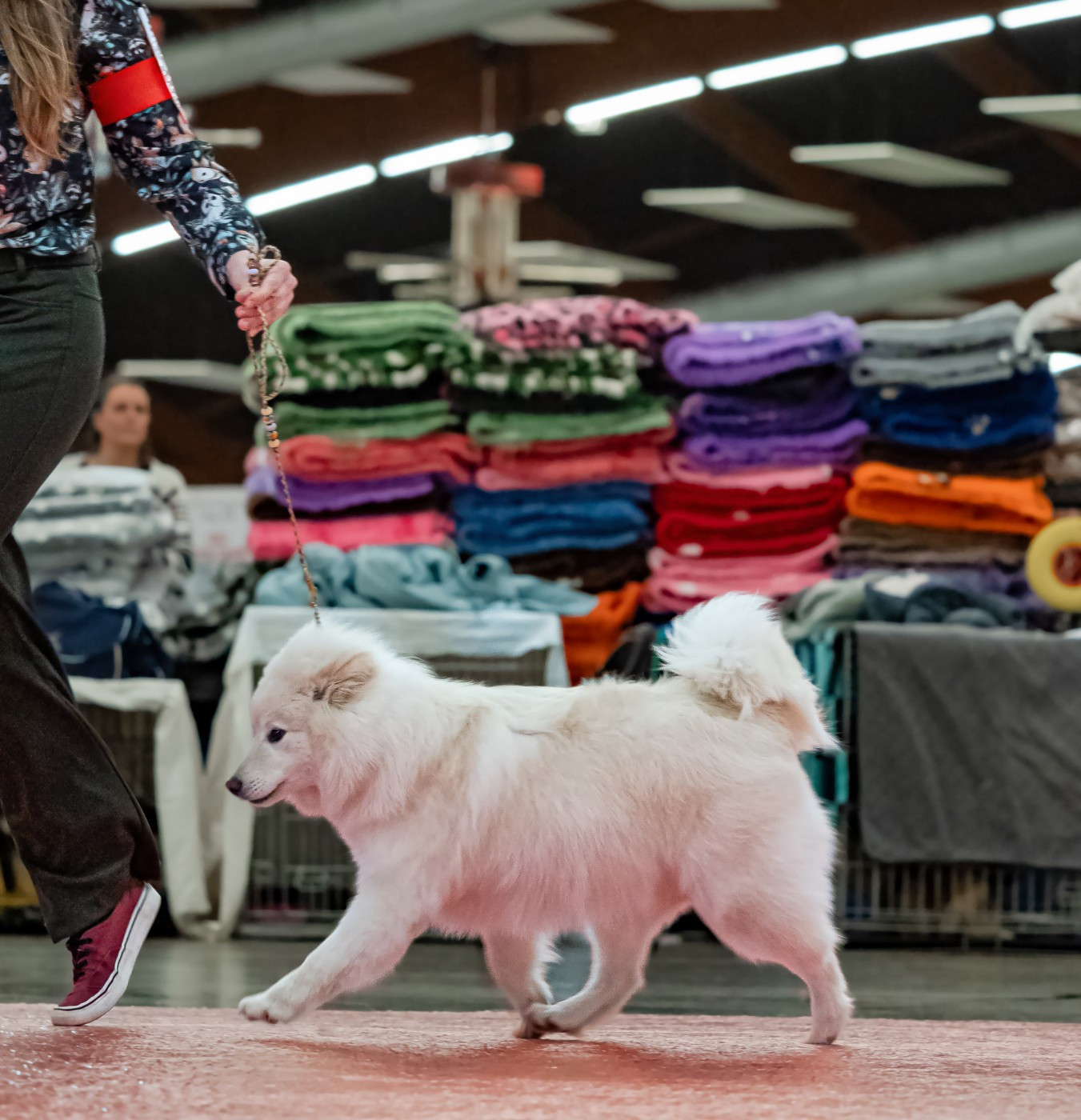 Avicii waiting for love de la Nouvelle Aube